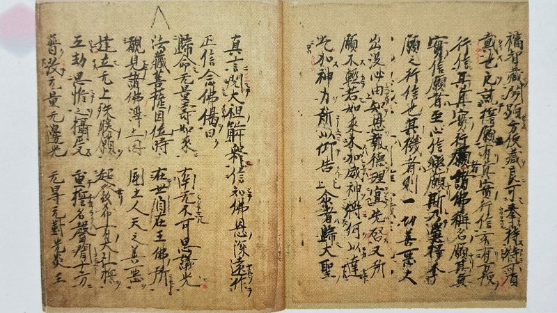 教行信証・教行信証延書 \u003c浄土真宗本願寺派本願寺\u003e購入後一度も使用していません