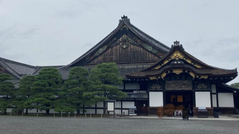 国宝-建築｜二条城 二の丸御殿[京都] | WANDER 国宝